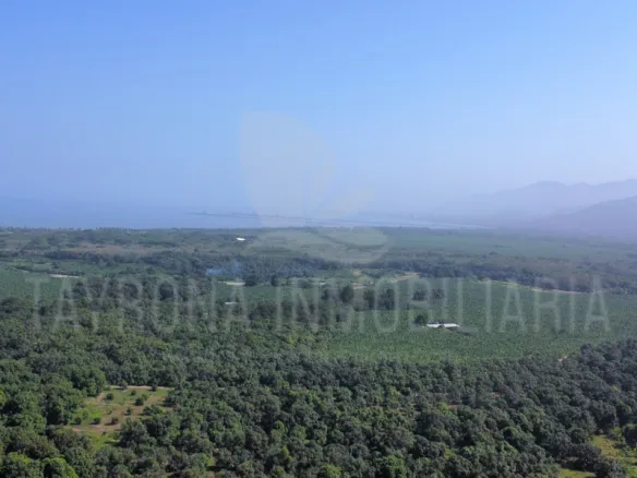 Lote en sector Francia de Ciénaga Magdalena