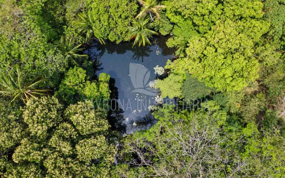 Venta de finca en Bonda Santa Marta