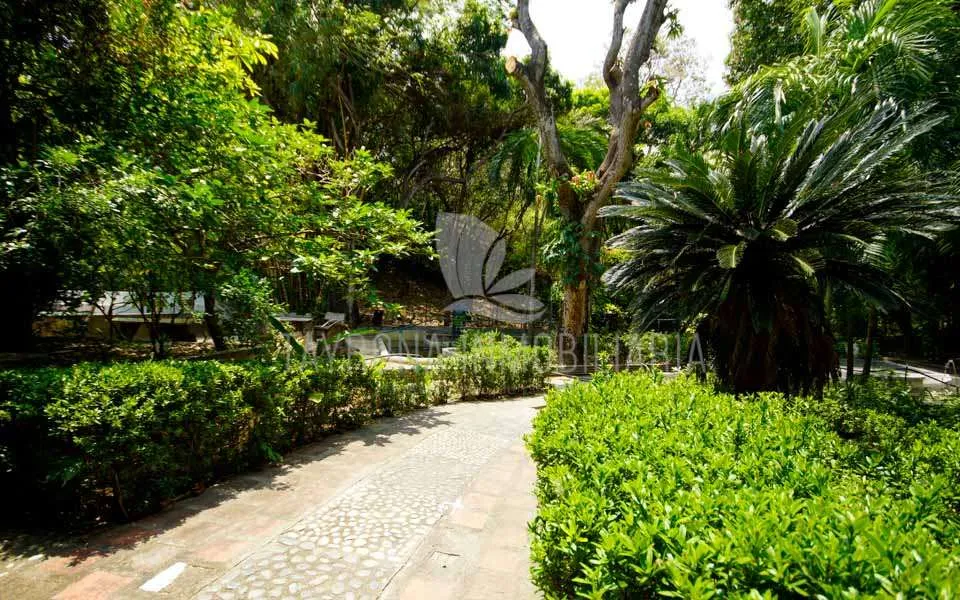 Venta de finca en Bonda Santa Marta