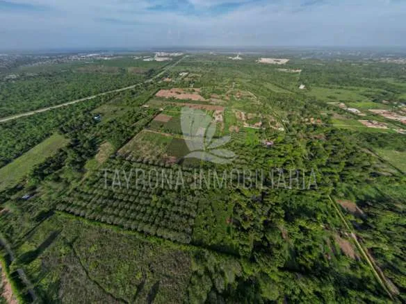 Lote Productivo en Venta en Malambo, Atlántico