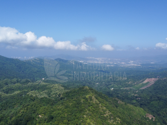 Finca en Minca en Venta