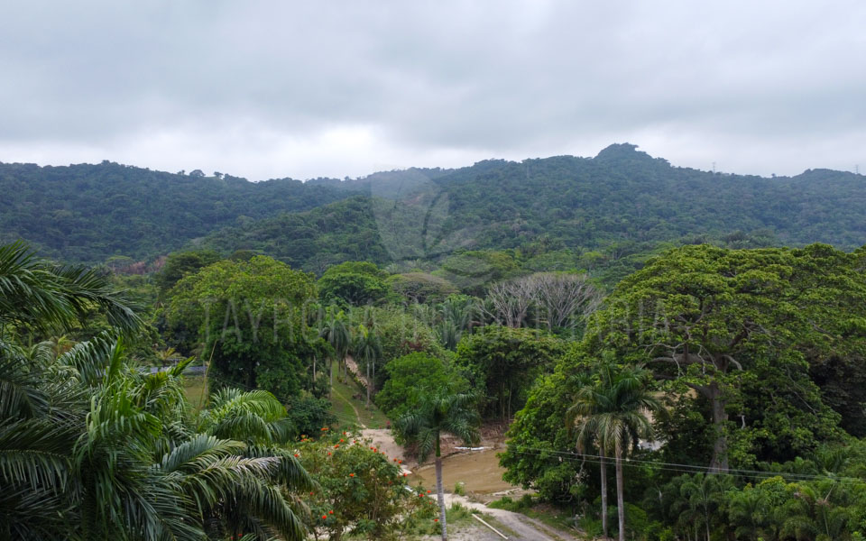 Lote en venta en Calabazo – Via principal Santa Marta